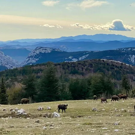 D'hotes Domaine Du Bouchard