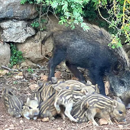 D'hotes Domaine Du Bouchard 3* Camps-sur-l'Agly